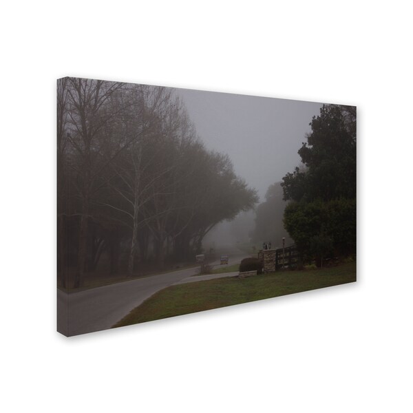 Jonathan Babb 'Morning Mist' Canvas Art,22x32